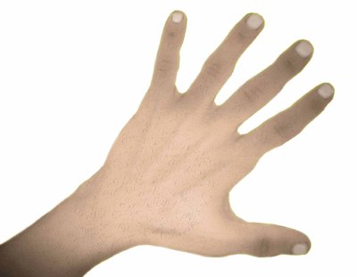 Hand 4.jpg