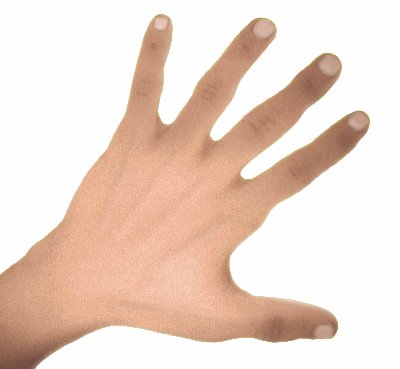 Hand 5 copyWeb.jpg